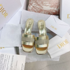 Christian Dior Slippers